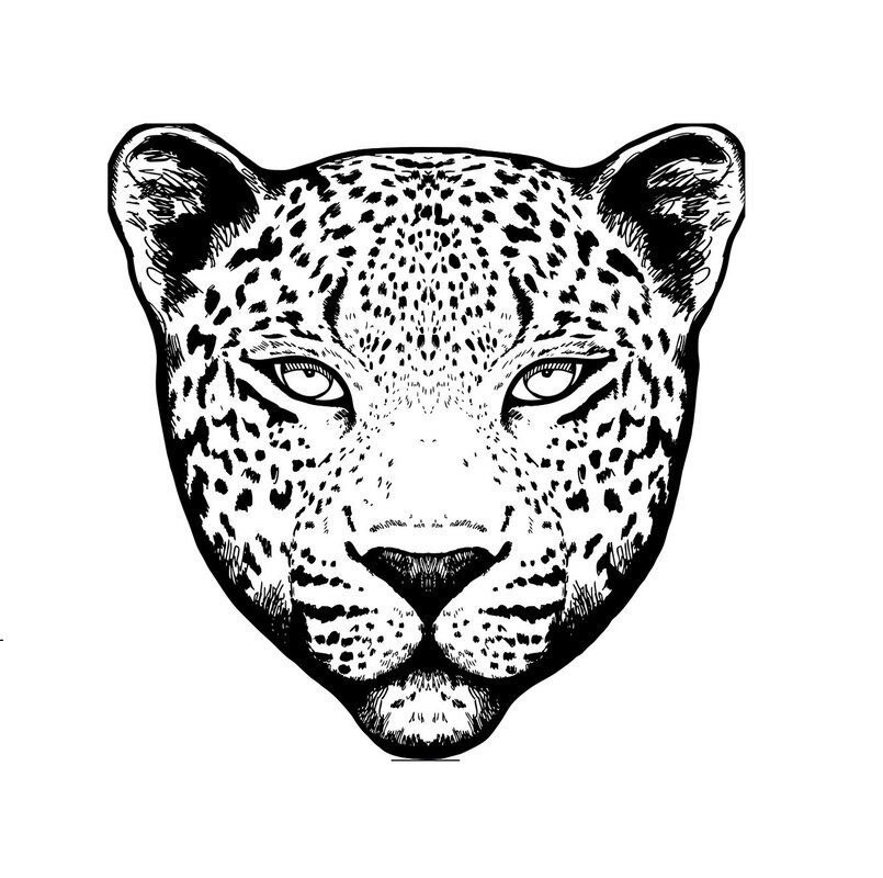lepords in tadoba