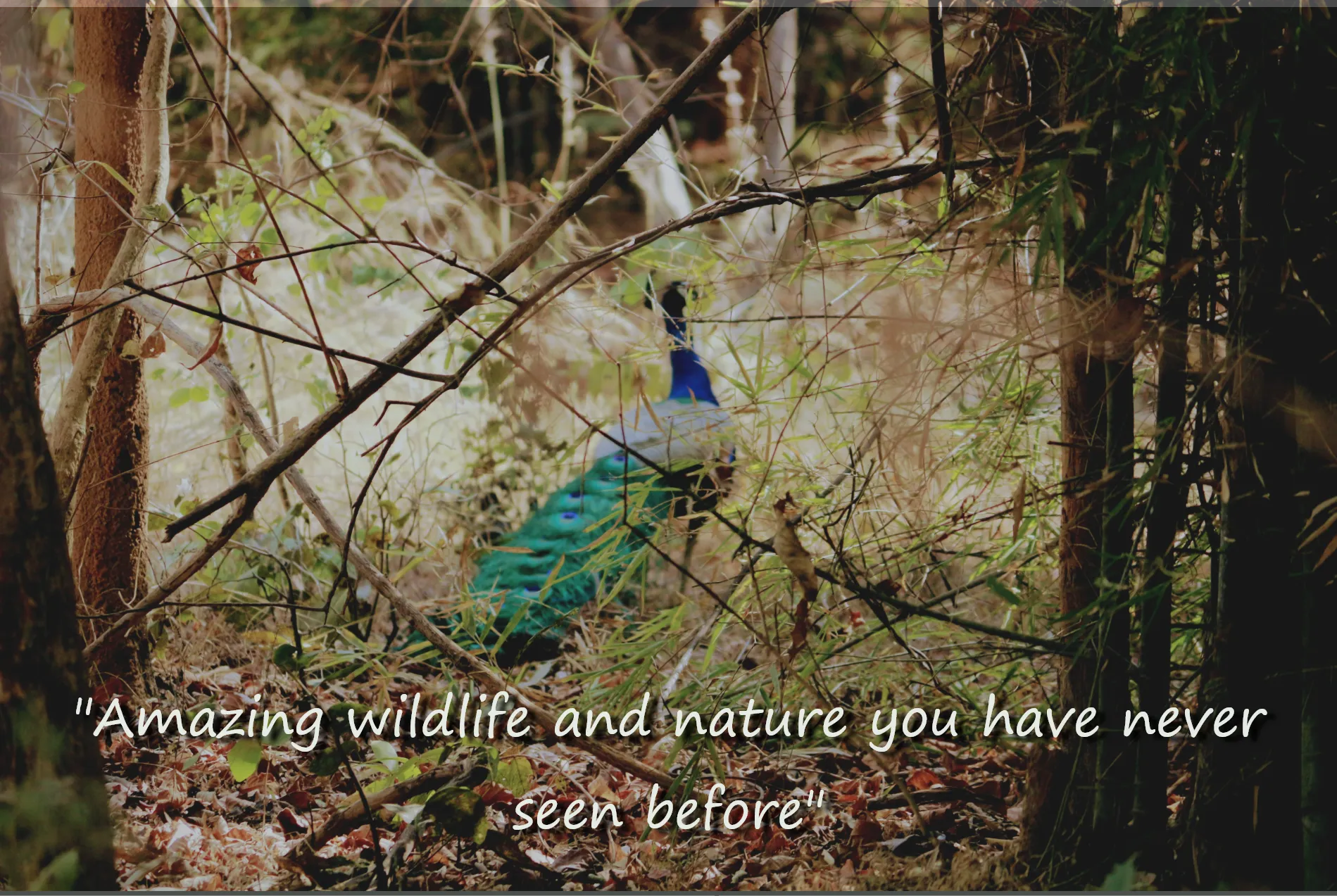slide6